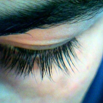 File:Eyelashes.jpg