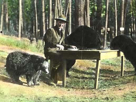 File:Bear dinner 1922.jpg