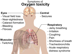 A diagraph showing a man torso and listing symptoms of oxygen toxicity: Eyes – visual field loss, near)sightedness, cataract formation, bleeding, fibrosis; Head – seizures; Muscles – twitching; Respiratory system – jerky breathing, irritation, coughing, pain, shortness of breath, tracheobronchitis, acute respiratory distress syndrome.