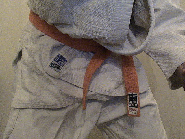 File:Judo orange belt.JPG