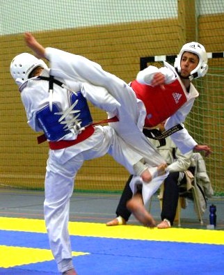 File:WTF Taekwondo 1.jpg