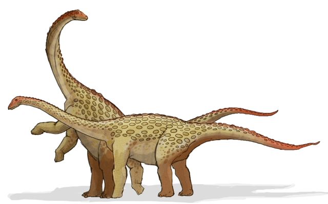 File:Saltasaurus dinosaur.png