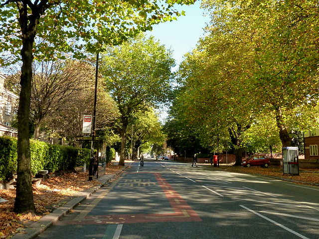 File:Upper Chorlton Road in the autumn.jpg