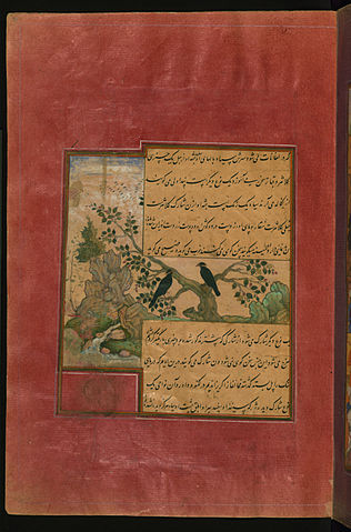File:Birds of Hindustan starlings, called pandāvalī.jpg