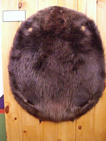 File:Fur trade museum beaver pelt.jpg