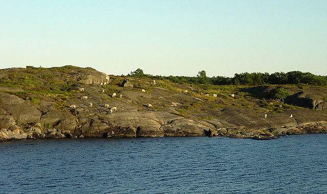 File:SoedraLinjen 15.jpg