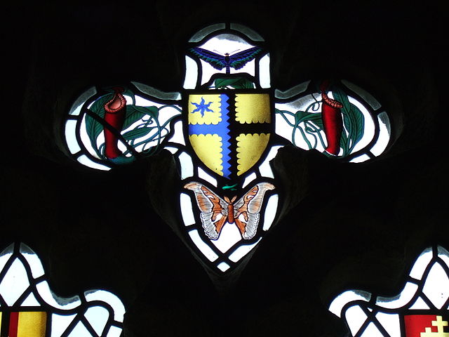 File:Sheepstor Church Devon Nepenthes rajah.JPG