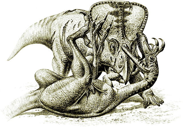 File:Velociraptorprotoceratops.jpg