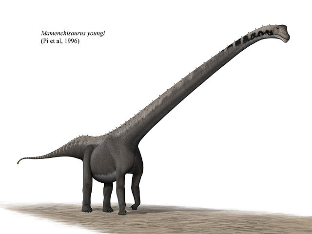 File:Mamenchisaurus youngi steveoc 86.jpg