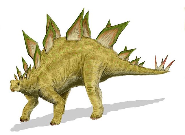 File:Stegosaurus BW.jpg