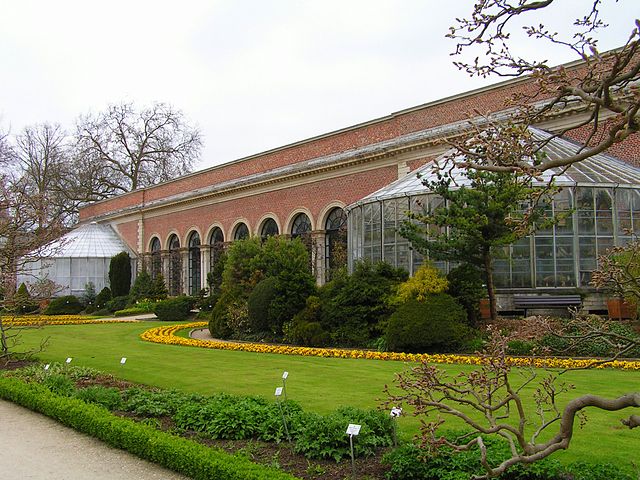 File:Orangerie Kruidtuin Leuven.jpg
