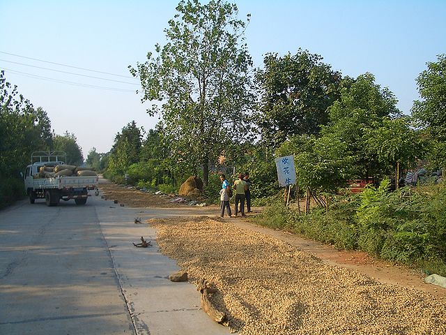 File:Jiangxia-peanuts-9707.jpg