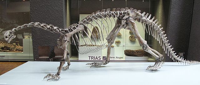 File:Plateosaurus engelhardti - Trias.jpg