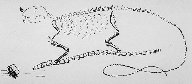 File:Mantell's Iguanodon restoration.jpg