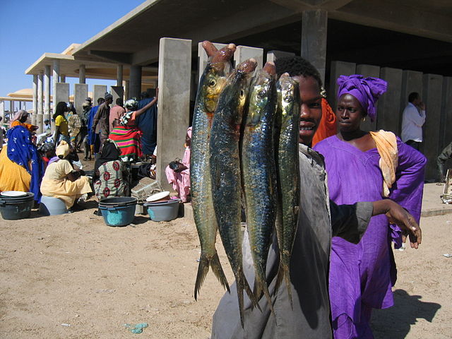 File:Fish market nouakchott mauritania.JPG