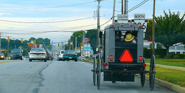 File:Traditional Amish buggy.jpg
