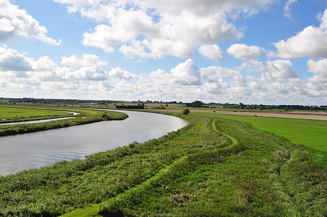 File:View from Hardley Windpump - geograph.org.uk - 2037603.jpg