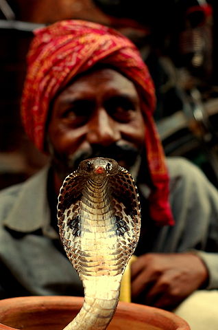 File:Snake Charmer - India.jpg