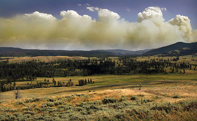 File:Wildfire in Yellowstone Natinal Park produces Pyrocumulus clouds1.jpg