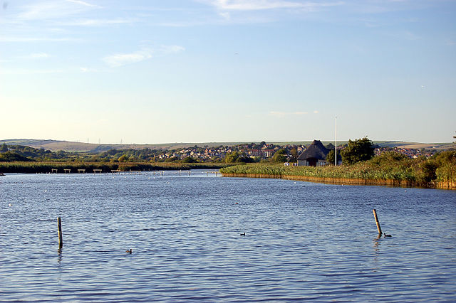 File:Uk dor radipole.JPG