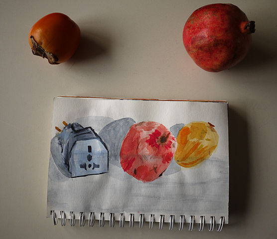 File:Watercolor Shoplifting series (November 5, 2011. Stockholm, Sweden. American to European Outlet Converter, Pomegranate, Persimmon.).jpg