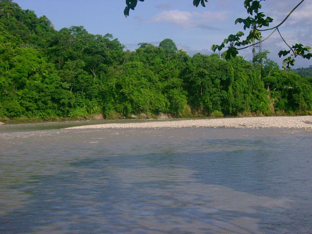 File:Chapare´s river.jpg