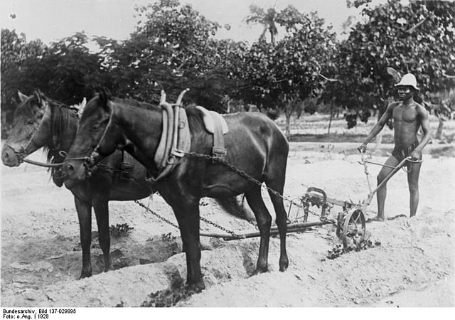 File:Bundesarchiv Bild 137-029895, Togo, Pflügen eines Baumwollfeldes.jpg