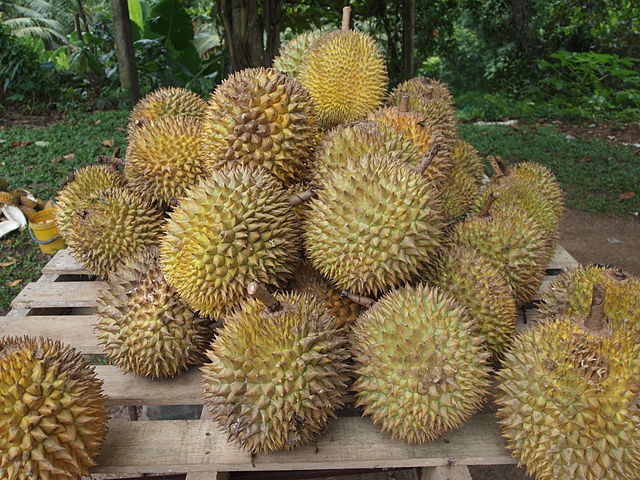 File:Durian.jpg