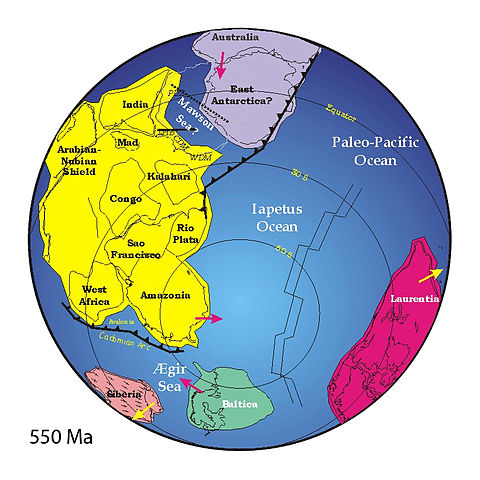 File:Positions of ancient continents, 550 million years ago.jpg