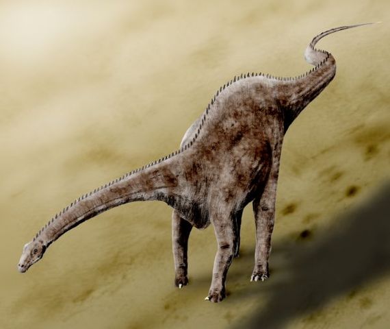 File:Diplodocus BW.jpg