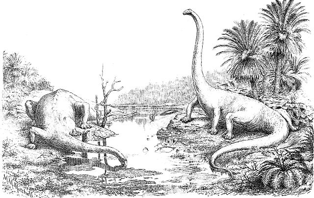 File:Diplodocus by Hay 1910.jpg