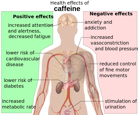 File:Health effects of caffeine.svg