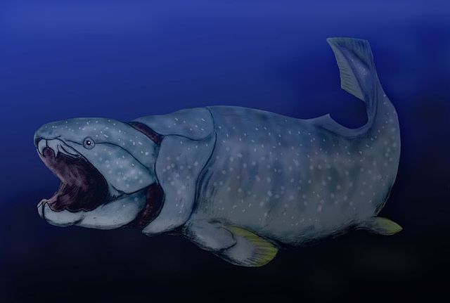 File:Dunkleosteus BW.jpg