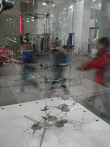 File:DNA Model Crick-Watson.jpg