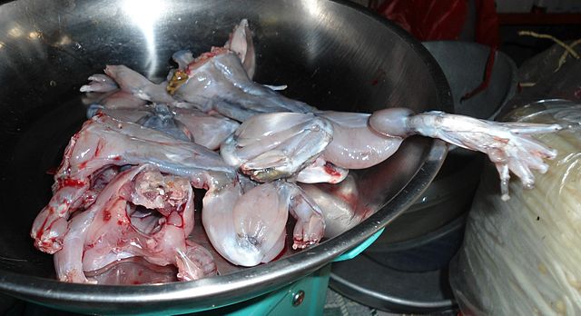File:Frog meat 01.jpg