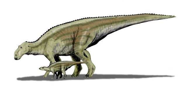 File:Maiasaura BW.jpg