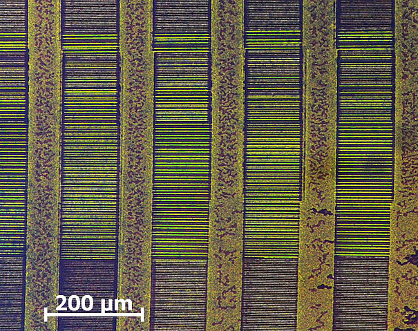 File:Visualization of magnetic information on a Floppy Disk (CMOS-MagView).jpg