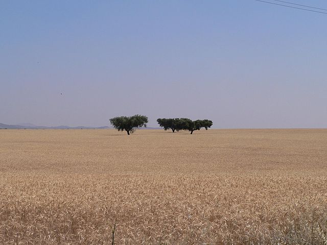 File:Alentejo 29 5 5.jpg