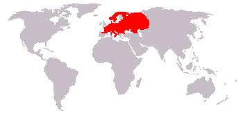 File:Leefgebied boommarter.JPG