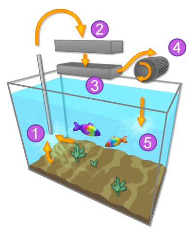 File:Aquarium.png