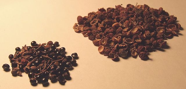 File:花椒 Zanthoxylum.jpg