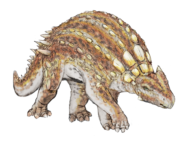 File:Minmi paravertebra dinosauria .png