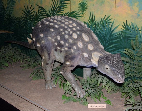 File:Minmi model Canberra email.jpg