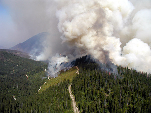 File:GNP Wildfires 2003.jpg