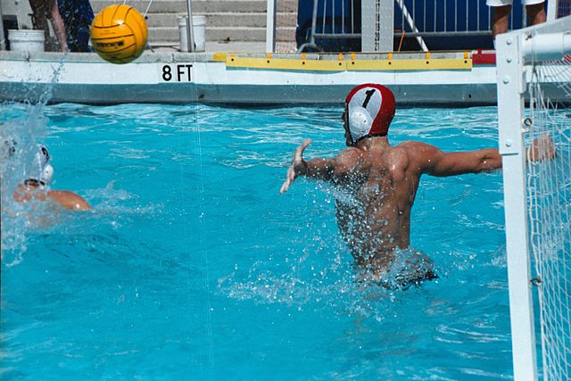 File:Water Polo Eggbeater.jpg