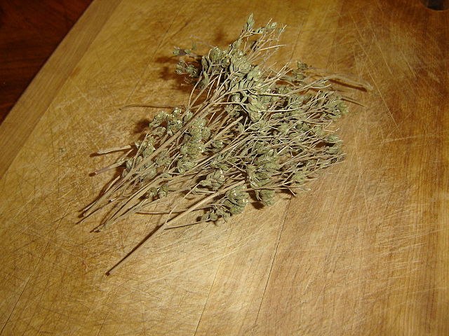 File:OreganoDried1.JPG