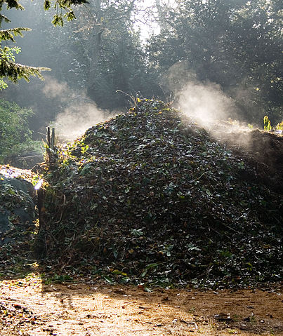 File:Compost Heap.jpg