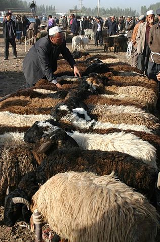 File:Sheep in kashgar market.jpg