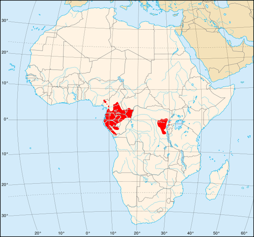 File:Gorilla distribution4.png