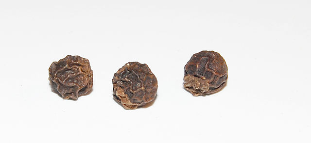 File:Pepper corns closeup.jpg